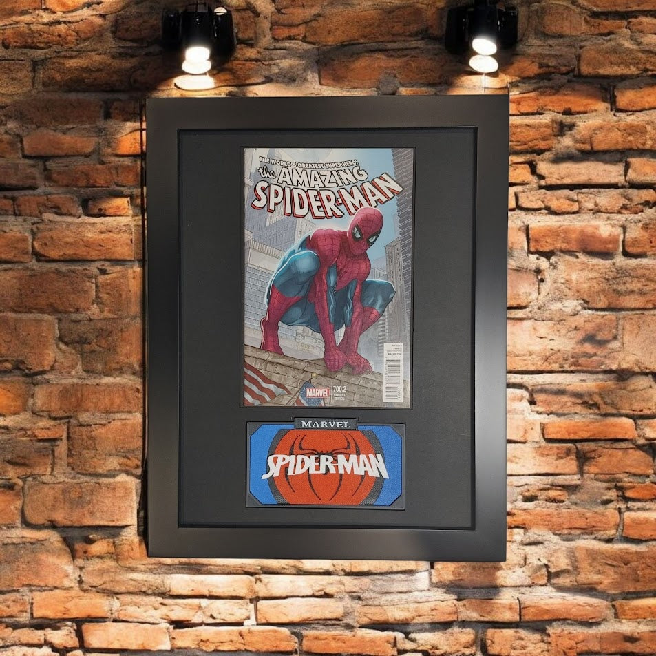 Framed Amazing Spiderman Vol. 2 #700B