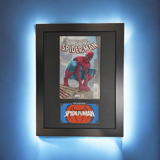 Framed Amazing Spiderman Vol. 2 #700B
