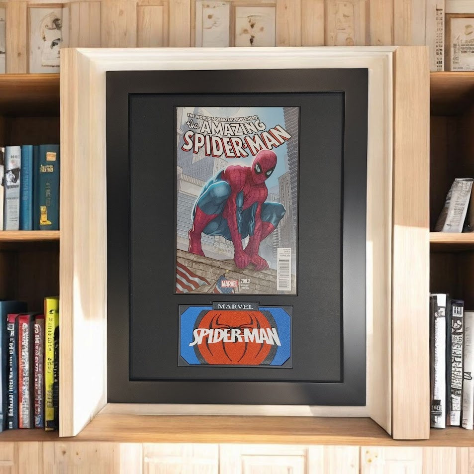 Framed Amazing Spiderman Vol. 2 #700B
