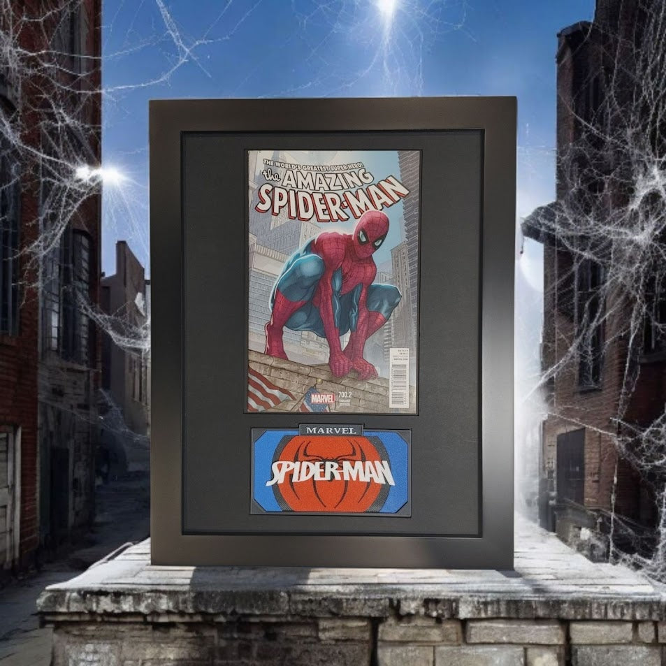 Framed Amazing Spiderman Vol. 2 #700B