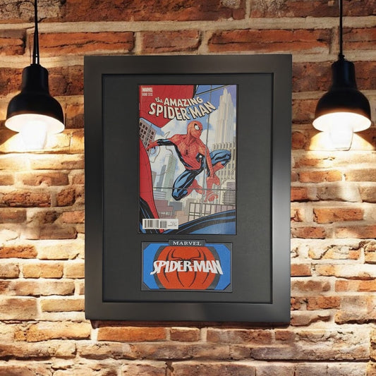 Framed Amazing Spiderman Vol. 4 #800G