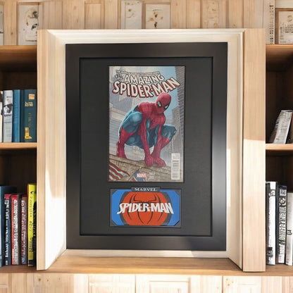 Framed Amazing Spiderman Vol. 2 #700B