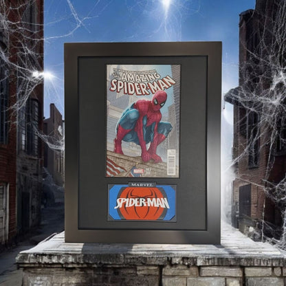 Framed Amazing Spiderman Vol. 2 #700B